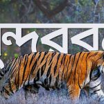সুন্দরবনের দর্শনীয় স্থান -[ The most Attractive place of Sundarban ]