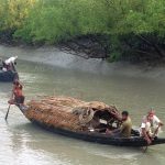 সুন্দরবন ভ্রমণ প্যাকেজ – [Sundarban Tour Package]