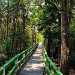 করমজল পর্যটন কেন্দ্র- [Koromjol Tourist Center]