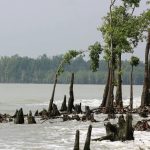 কটকা সমুদ্র সৈকত – (Kotka Sea Beach)