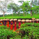 Discover Bangladesh Naturally!
