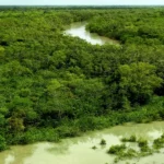 Sundarban Forest Department