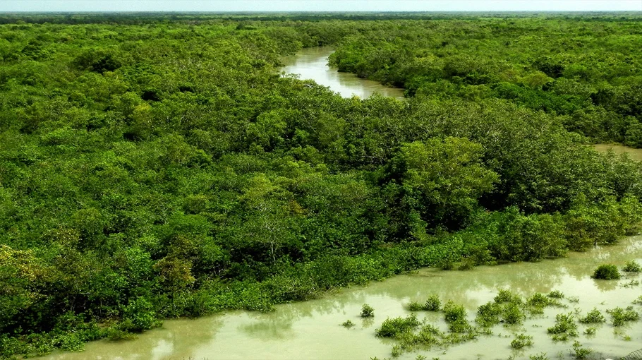 Sundarban Forest Department