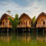 AranyaBari Mangrove Resort